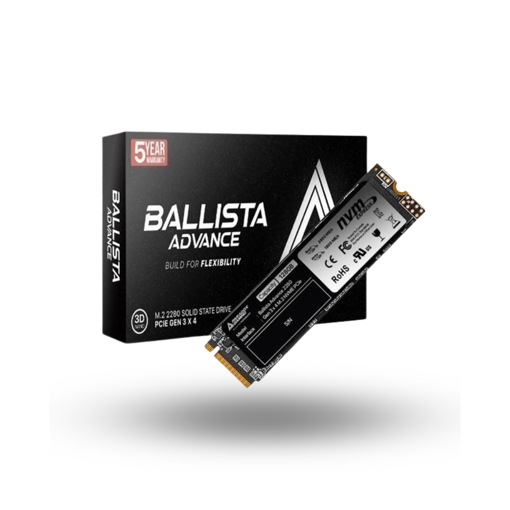 Paradox Gaming Ballista Advance SSD 256GB M.2 NVMe 2280