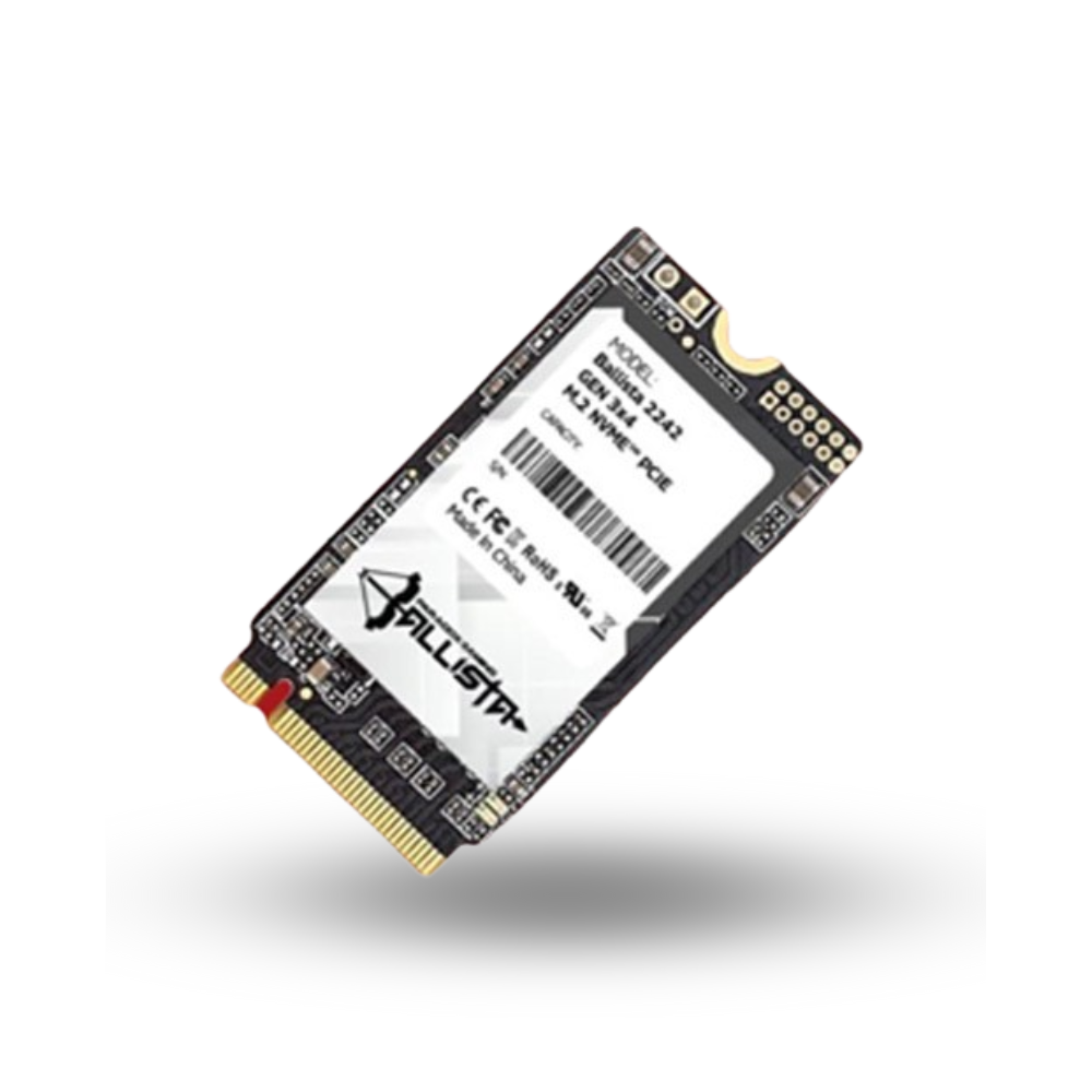 Paradox Gaming Ballista SSD 1TB M.2 NVMe 2242