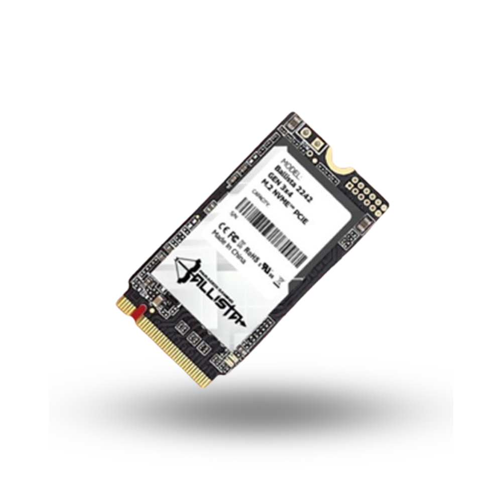 Paradox Gaming Ballista SSD 512GB M.2 NVMe 2242