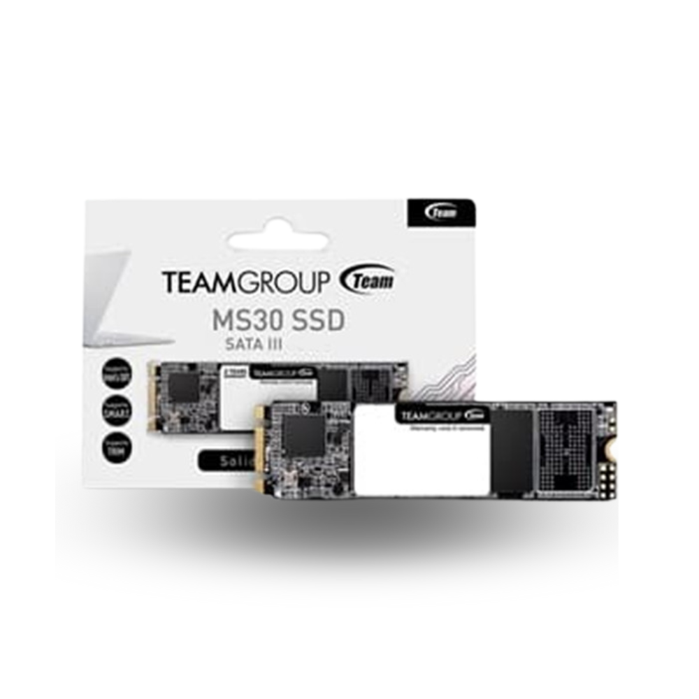 Team MS30 M.2 2280 SATA SSD 1TB - TM8PS7001T0C101 - R 530MB/s & W 480MB/s
