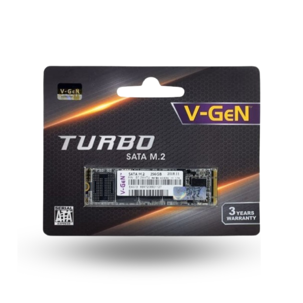 V-GeN SSD M.2 256GB