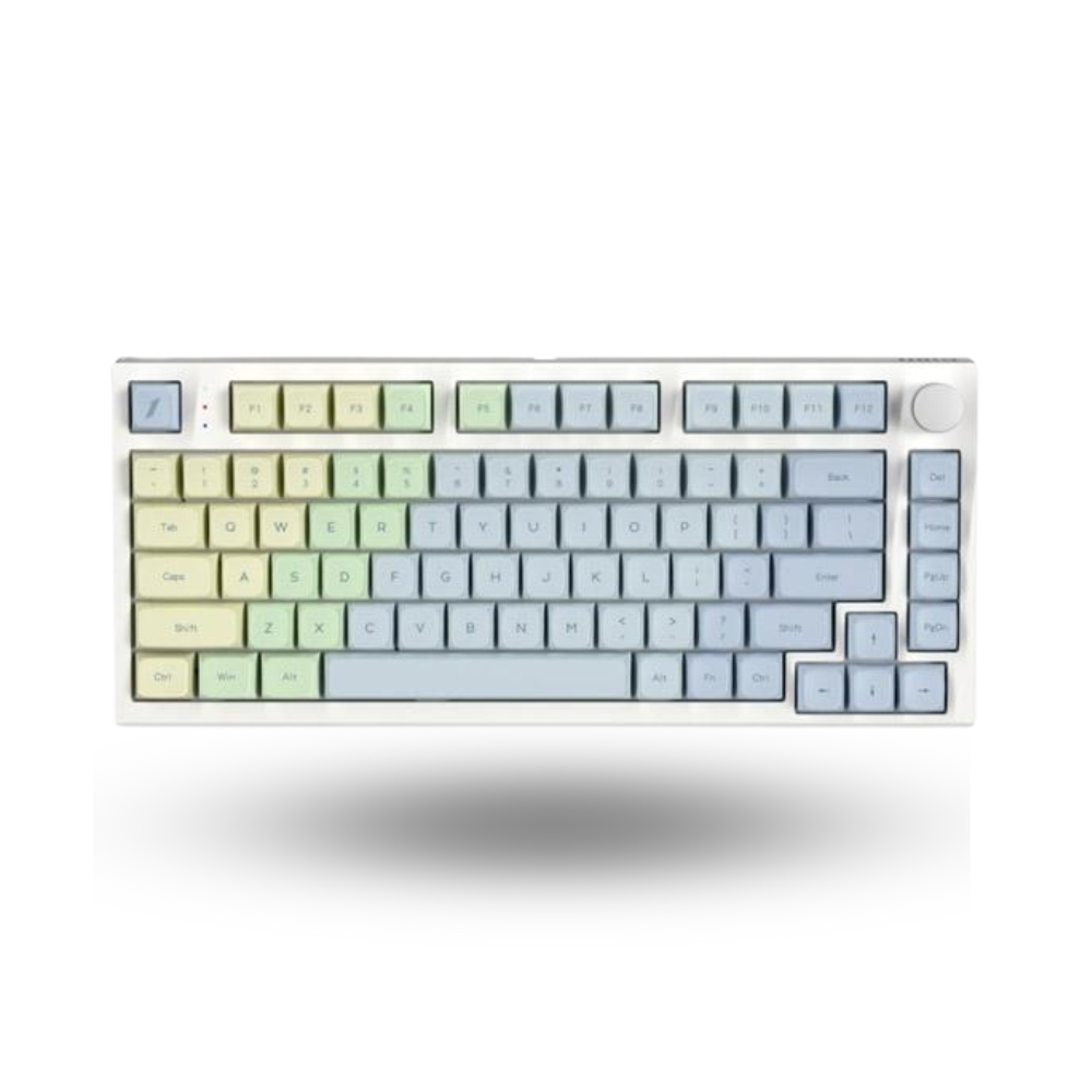 1STPLAYER THE ONE-Gi80 Wireless Mechanical Keyboard 81Keys (Gateron PRO Silver Switch)