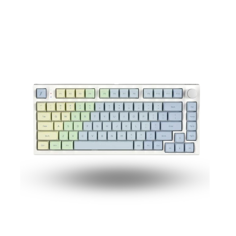 1STPLAYER THE ONE-Gi80 Wireless Mechanical Keyboard 81Keys (Gateron POM CJ Silver Switch)
