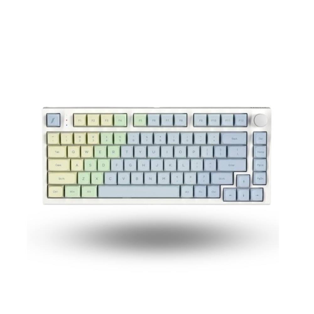 1STPLAYER THE ONE-Gi80 Wireless Mechanical Keyboard 81Keys (Gateron POM INK Silver Switch)