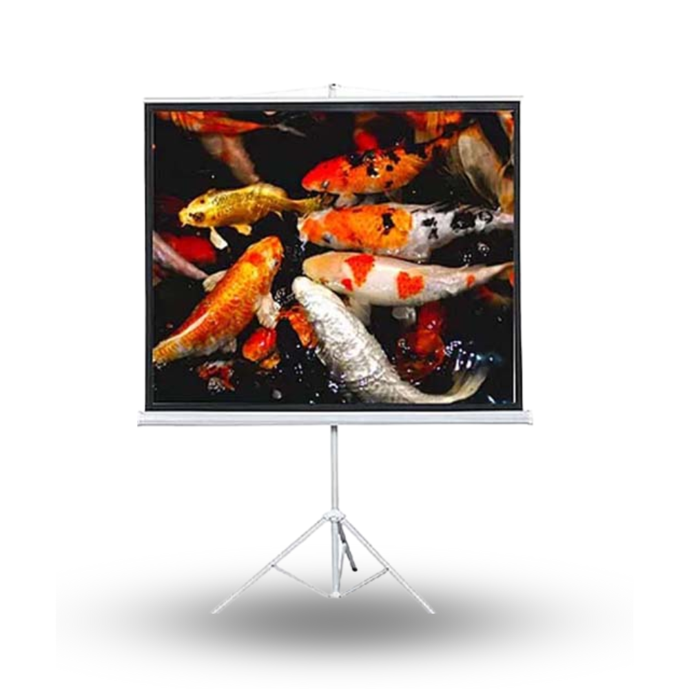 Brite TRI-2424 244CM x 244CM High Quality MW / 96 x 96