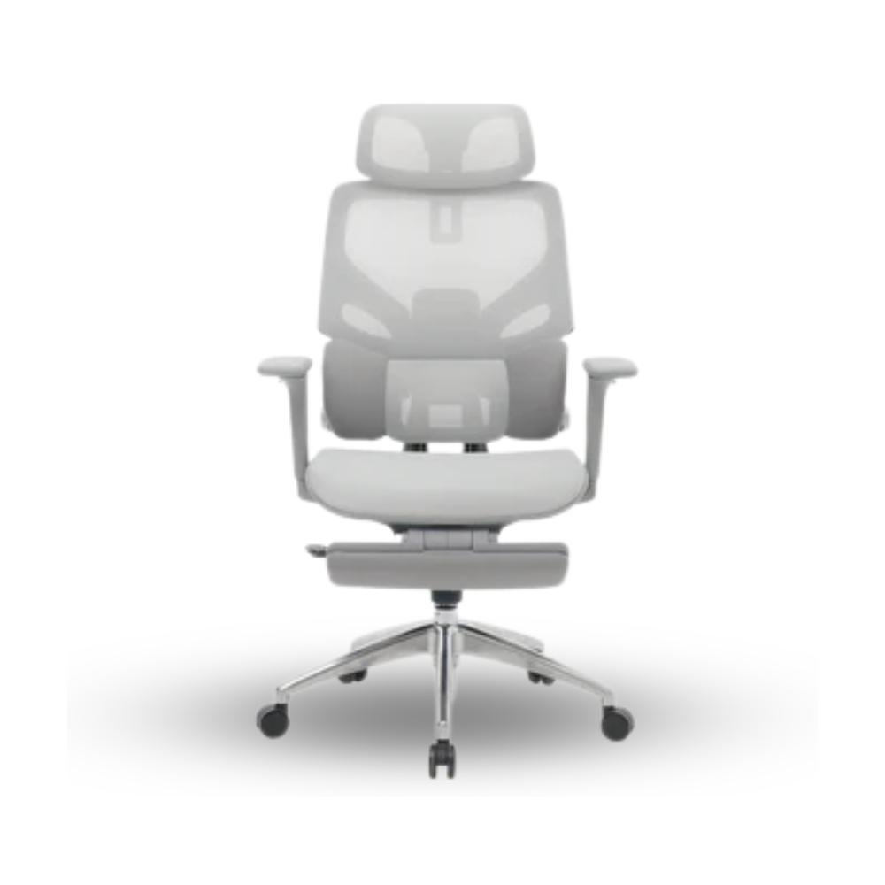 Rexus Ergonomic Chair Daxa ZEN EC3 - Grey
