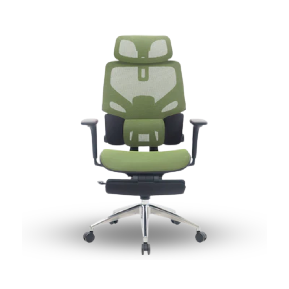Rexus Ergonomic Chair Daxa ZEN EC3 - Green