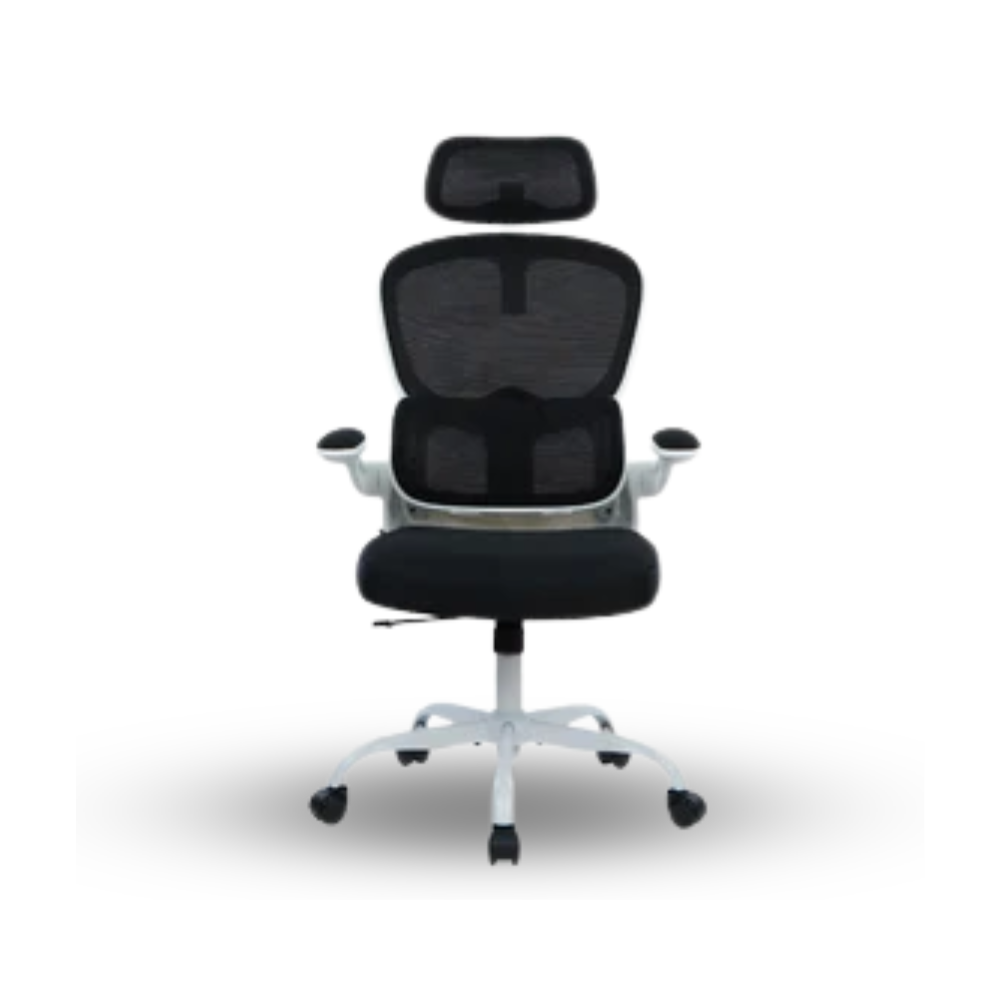 Rexus NC2 Ergonomic Office Chair - White